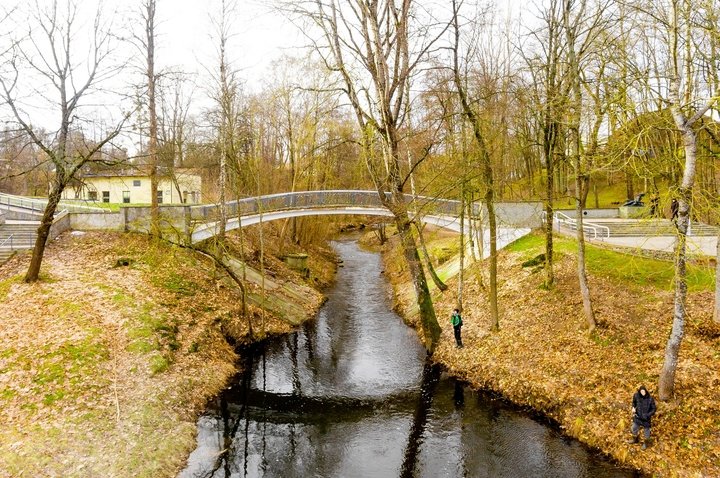 Curved Bridge