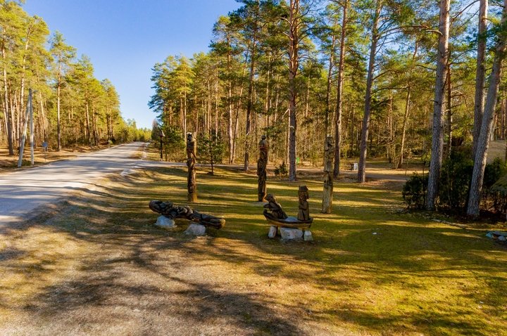 Wood Sculpture Complex in Latežeris Village