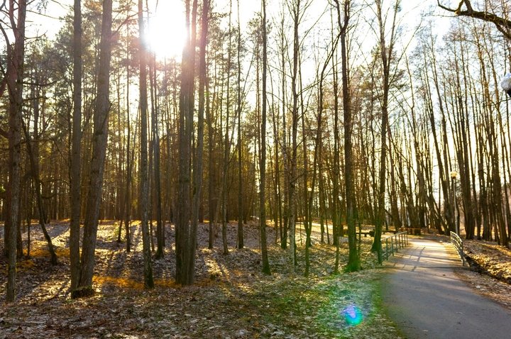 Park Odpoczynkowy