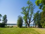 The Ash Tree of Veisiejai Manor Park