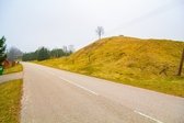 Buteliūnai Mound