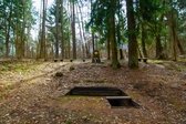 Site of Partisan Fights and their Deaths (Bestraigiškė Forest)